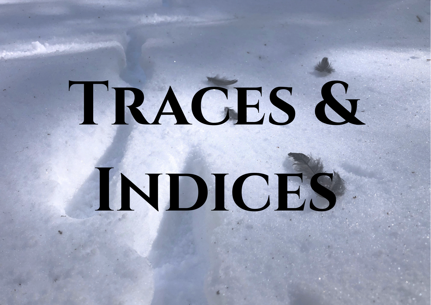 traces indices animaux chablais abondance bernex